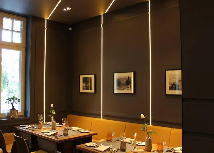 Medici * Munster (North Rhine-Westphalia)